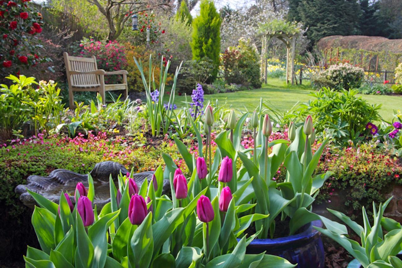 How To Create A Colorful Spring Garden With Fall-Planted Bulbs