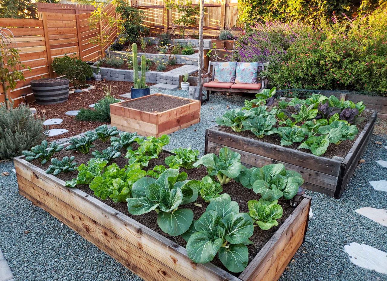 Raised Bed Gardening: The Plants to Avoid