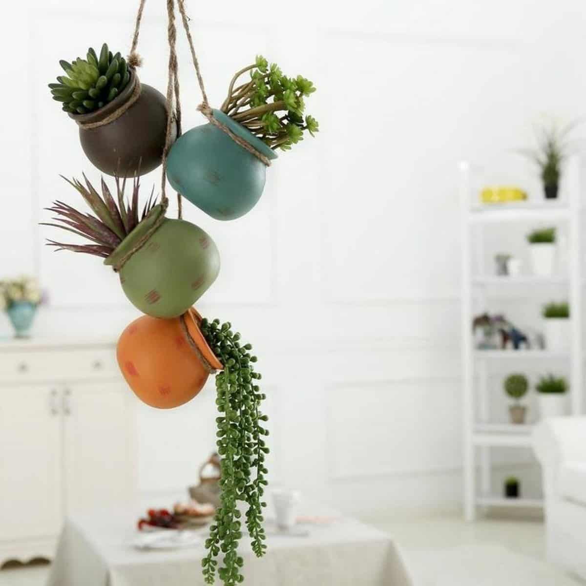 10 Best Hanging Plants for Small Spaces