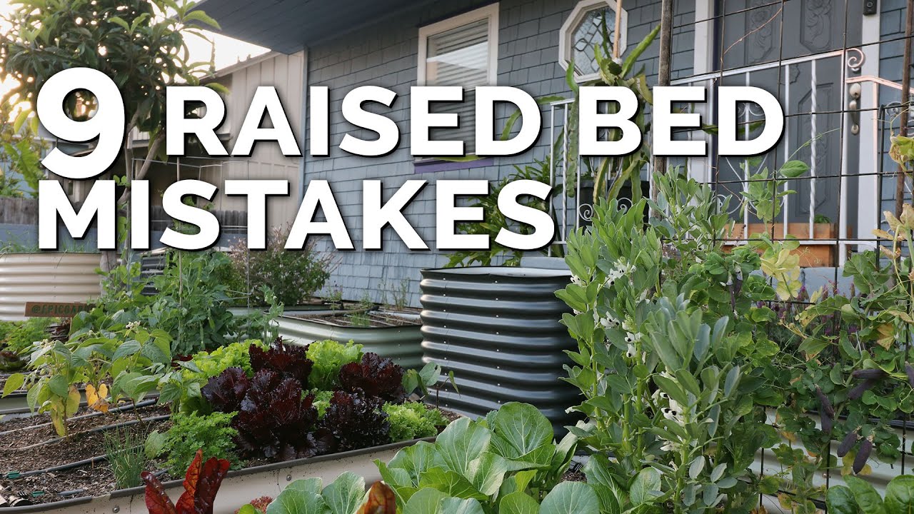 Raised Bed Gardening: The Plants to Avoid